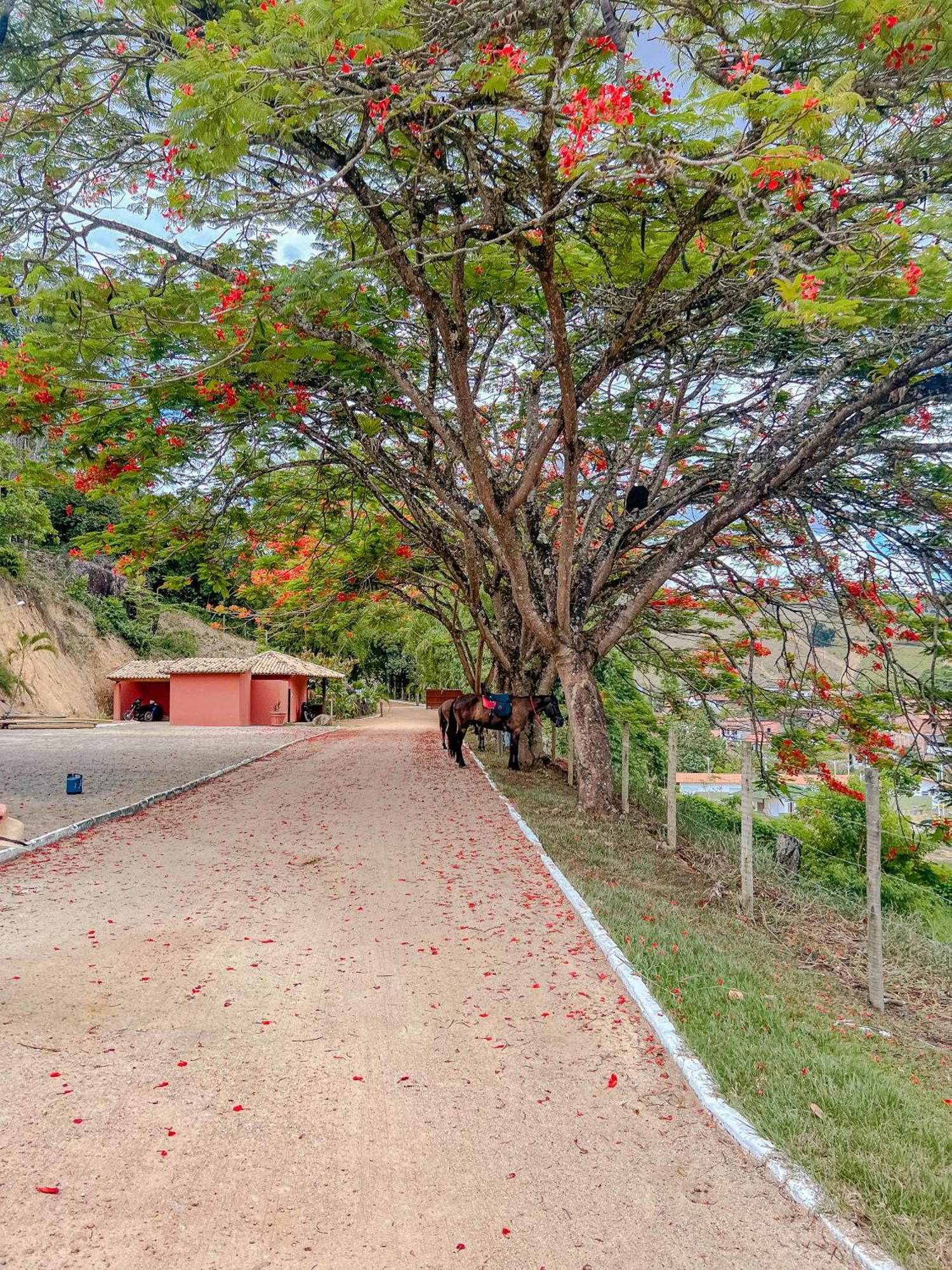 Hotel Vale Do Jiquirica Exterior photo